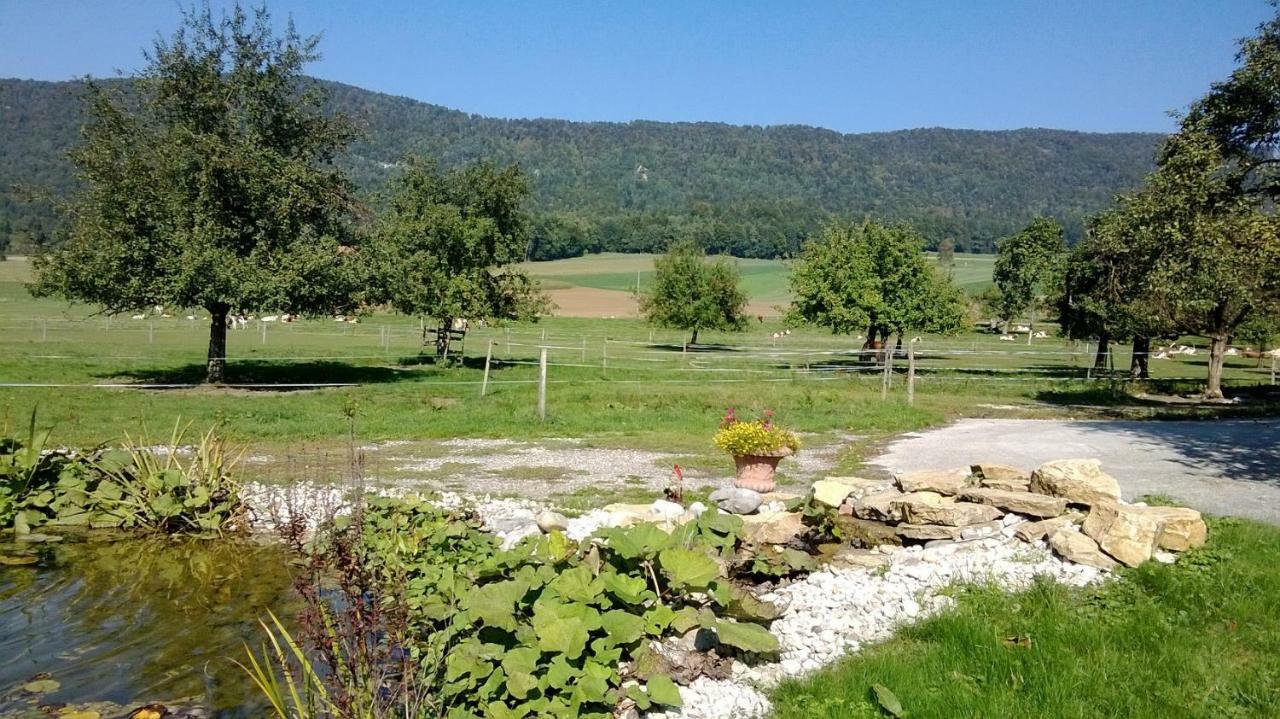Apartement-Gite Rural A 3 Km De Delemont Courcelon Kültér fotó
